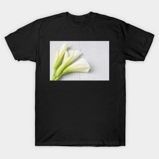 Elegant spring flower, calla lily T-Shirt